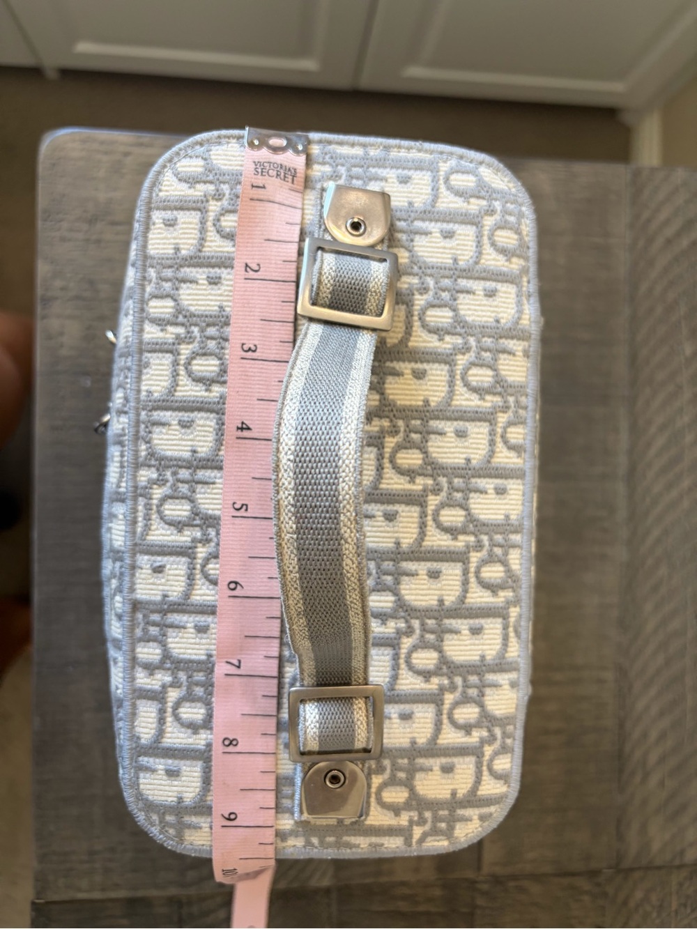 Dior Light Gray Dior Oblique Vanity Case - Picture 14 of 16